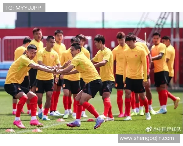 艾克森：从巴西到中国的传奇旅程与足球梦想的追逐